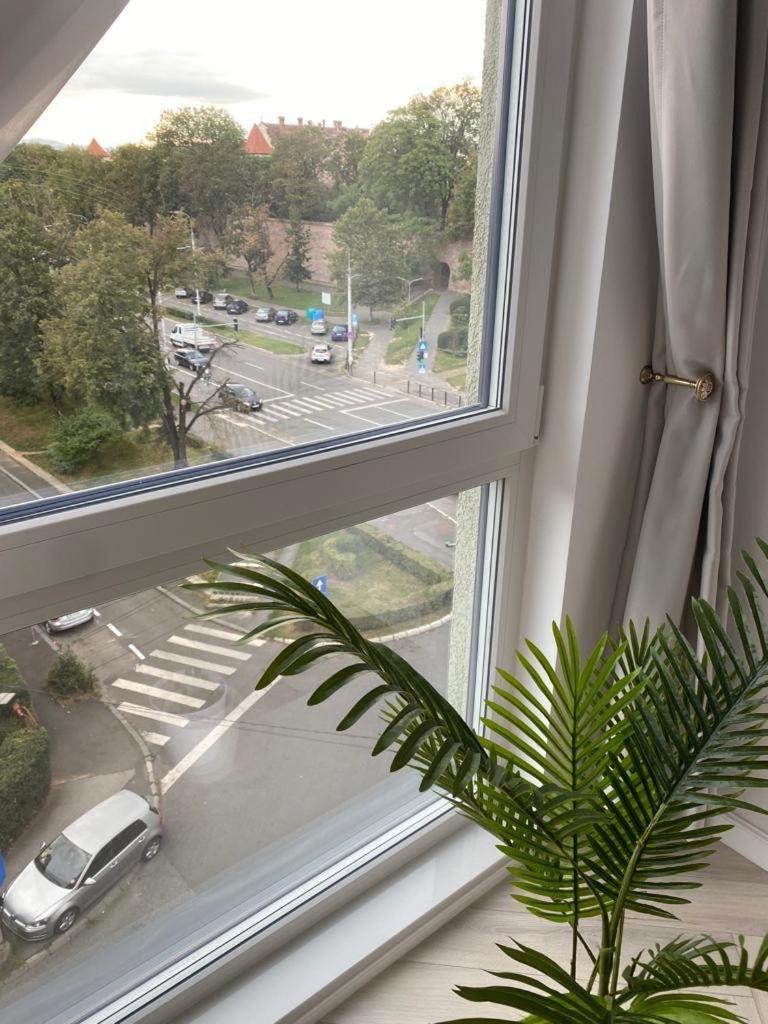 Elite Apartment シビウ エクステリア 写真